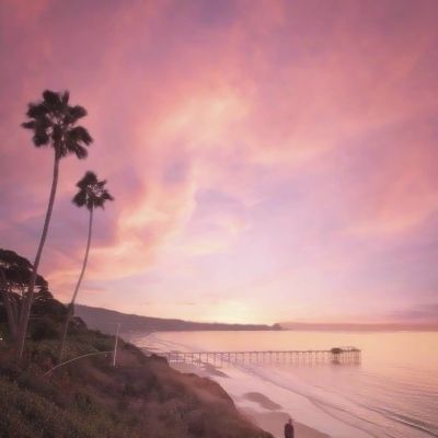 棋牌www官方网址入口